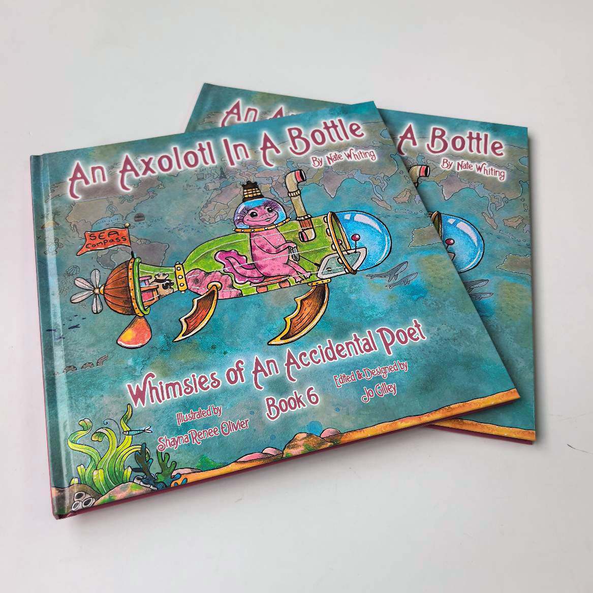 Kids illustrated hardcover book printing