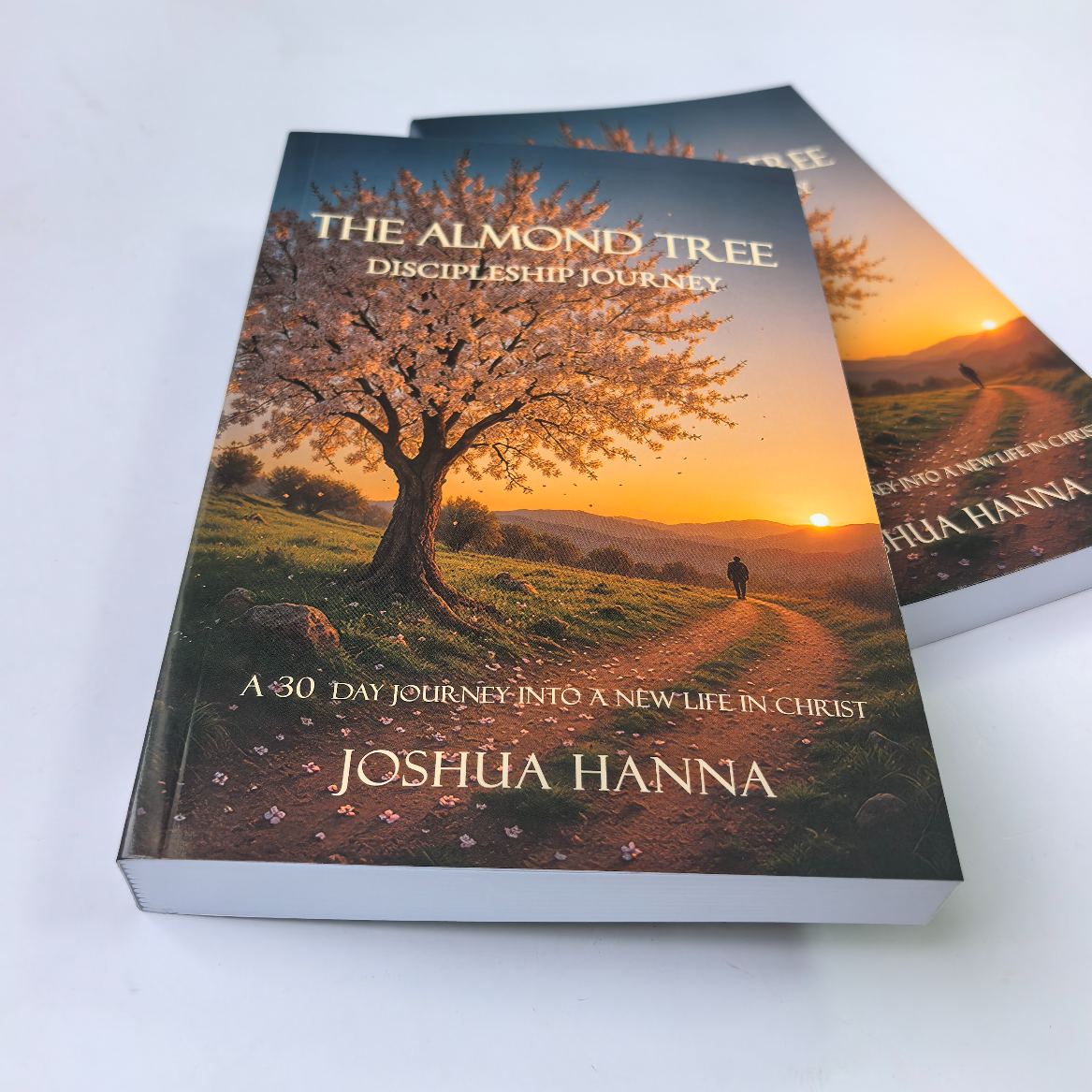 Paper cover perfect binding novel book printing self publishing